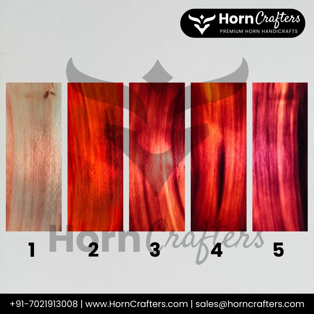 Buffalo Horn Plates Color B 1,2,3,4,5