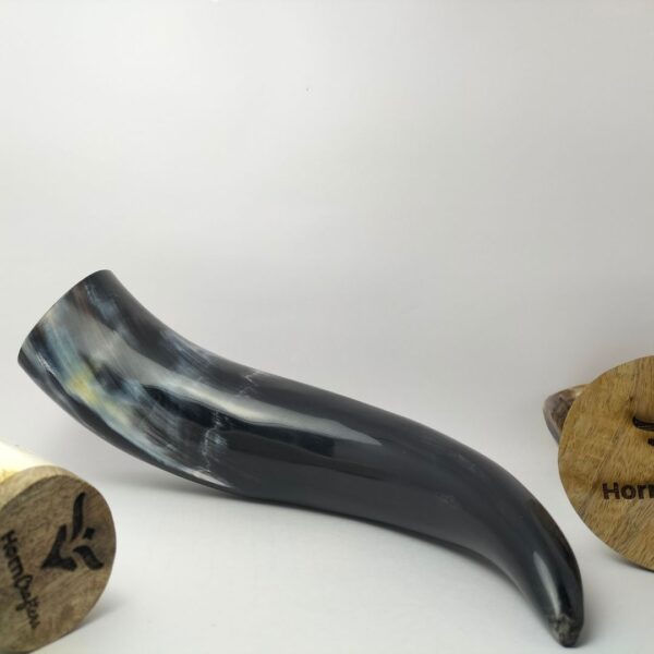 Viking Drinking Horn - Black Color