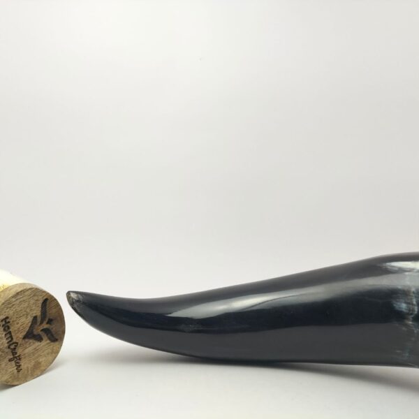 Viking Drinking Horn - Black Color