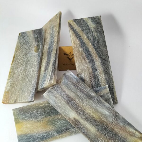 Buffalo Horn Plates - Full Line Color