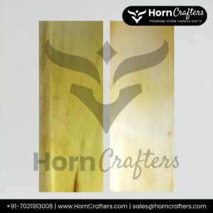 Buffalo Horn Plates - Milk White Color