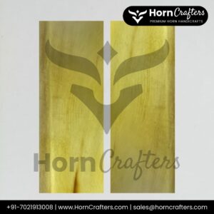 Buffalo Horn Plates - Milk White Color