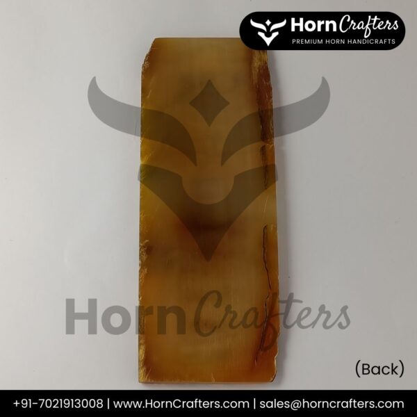 Sheep Horn Plates