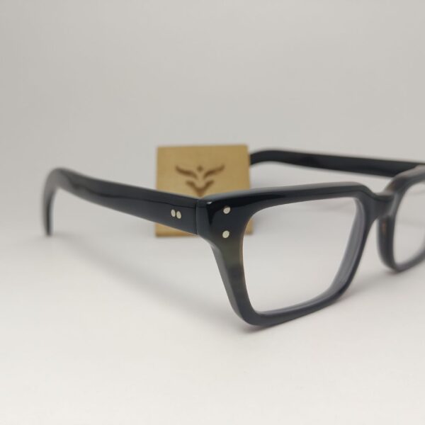 Horn Rim Spectacles Front