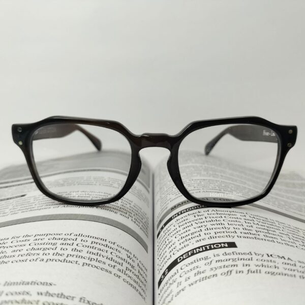 Horn rimmed glasses in brown color