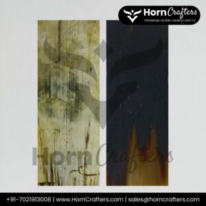 Buffalo Horn Plates - White Spot with Black Back Color (Afri)