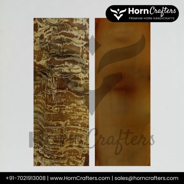 Sheep Horn Plates