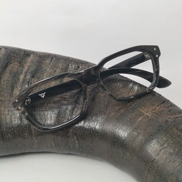 Horn Rimmed Glasses for Men kept on buffalo horn
