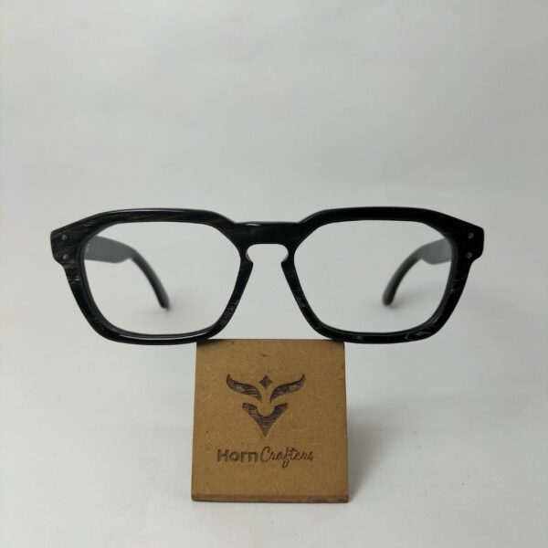 Horn Rimmed Glasses Mens