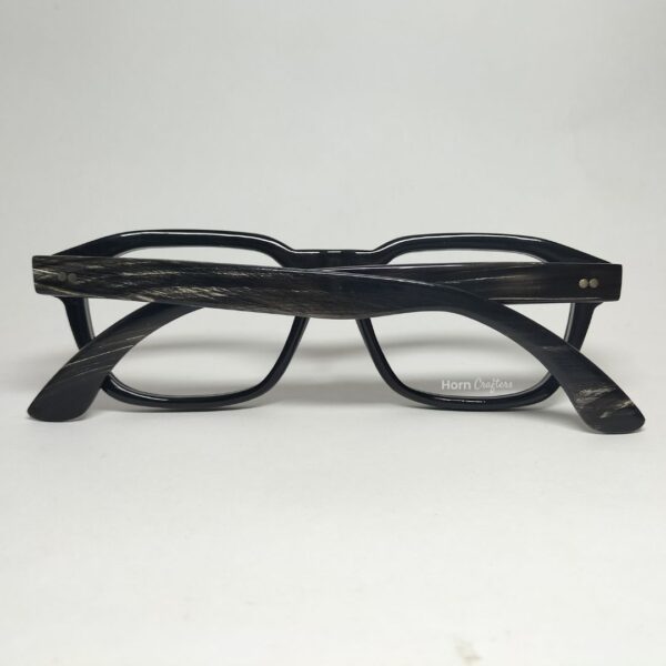 Horn Rimmed Glasses Mens