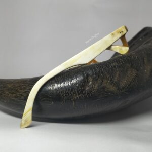 White Buffs Glasses kept on top of black buffalo horn