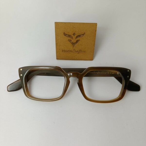 Brown Eyeglasses