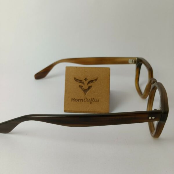 Brown Eyeglasses