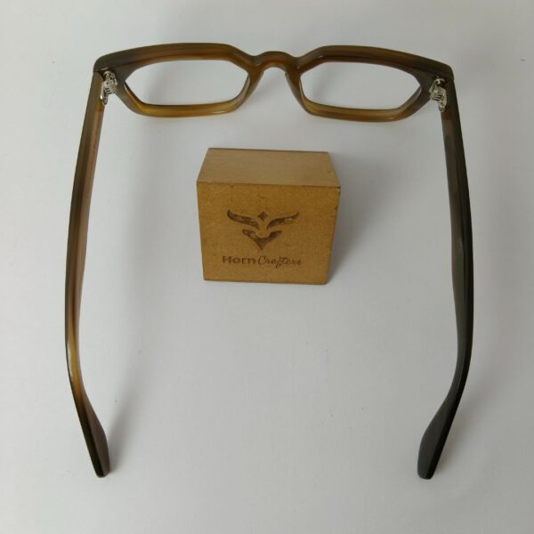 Brown Eyeglasses