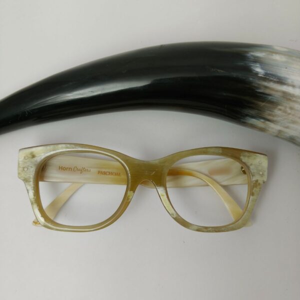 Genuine Horn Rimmed Americas Best Glasses kept aside buffalo horn
