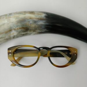 horn rimmed designer glasses kept aside of horn
