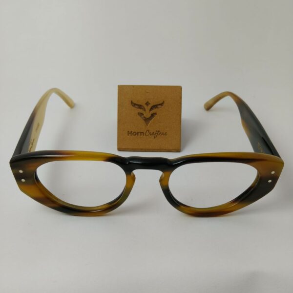 horn rimmed designer glasses