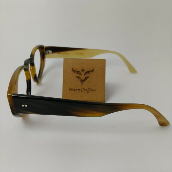 horn rimmed designer glasses