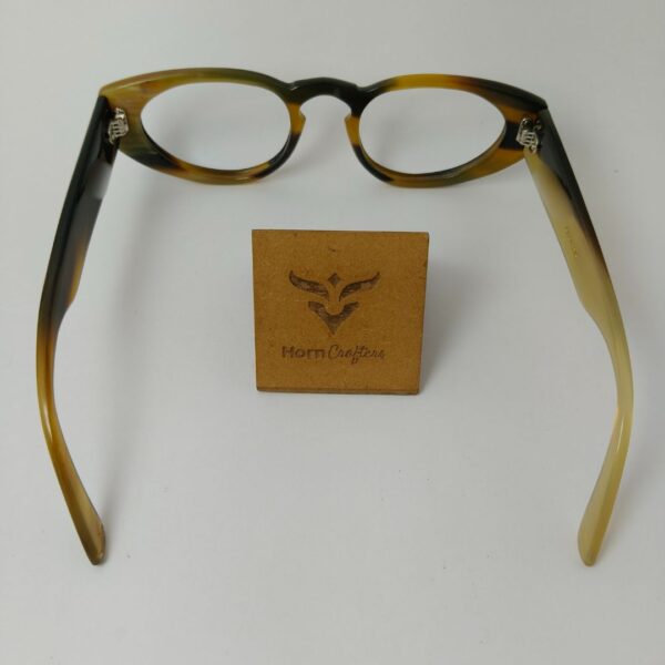 horn rimmed designer glasses